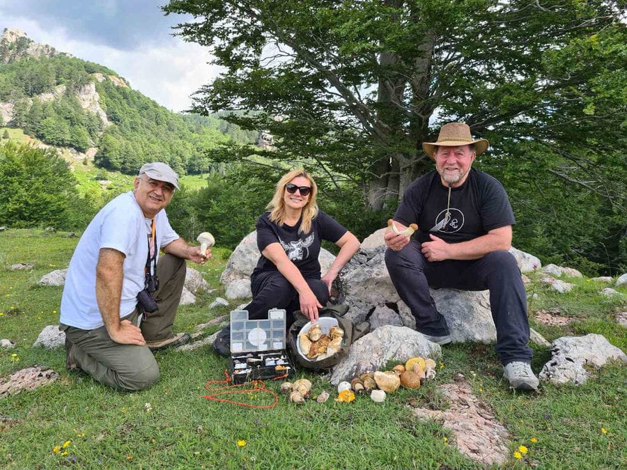 25 natural history museum meteora mushroom museum.jpg